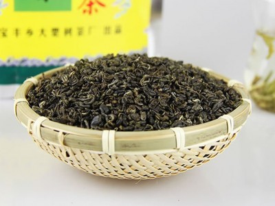 23年大理云龙大栗树茶碧螺春绿茶叶 新茶云南绿茶烘青碧螺春400g图2