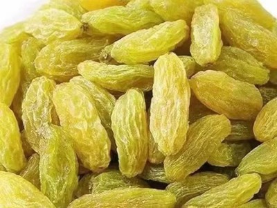 大颗粒黄绿葡萄干新疆特产500g 提子葡萄果干零食切糕粽子葡萄干图2