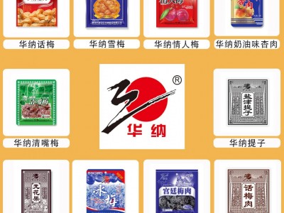 华纳牌蜜饯果干梅子组合西梅酸乌梅酸梅肉话梅肉话梅雪梅零食图2