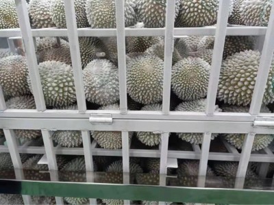 【整件批发】马来西亚猫山王榴莲D197液氮冰鲜整果可零售选果私聊图3