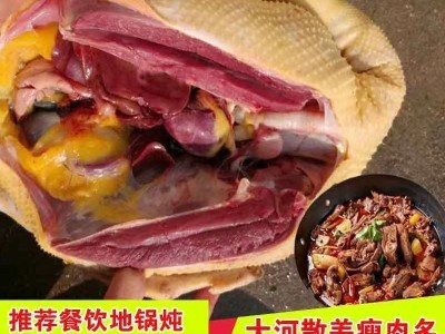 极速发货9斤大鹅新鲜大白鹅散养老鹅鹅肉整只鹅雁鹅非东北鹅代发图3