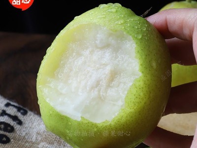 山西隰县玉露香梨子3/5/10斤新鲜礼盒装酥梨批发薄皮香梨一件批发图5