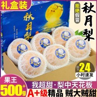 精品果王正宗山东秋月梨10斤梨子当季水果整箱莱阳雪梨包邮甜礼盒