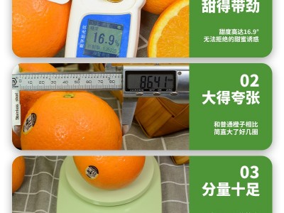 澳洲新奇士橙10斤新鲜橙子甜进口水果当季脐橙大果现货整箱包邮10图2