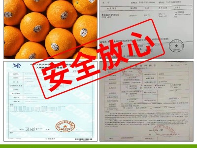 澳洲新奇士橙10斤新鲜橙子甜进口水果当季脐橙大果现货整箱包邮10图5