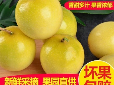 黄金百香果现摘现发新鲜5斤大果当季果热情果一件代发工厂批发图5