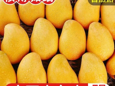 海南小台农芒果10斤新鲜大台芒应季水果现摘热带鸡蛋芒整箱3斤图3