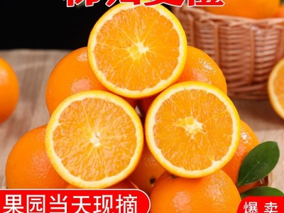 秭归夏橙10斤新鲜水果当季整箱现摘冰糖甜脐橙伦赣晚南榨汁橙子图5