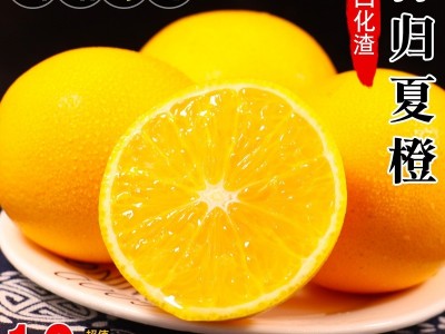 秭归夏橙10斤新鲜水果当季整箱现摘冰糖甜脐橙伦赣晚南榨汁橙子图2