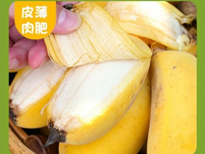 正宗广西苹果蕉5斤香蕉新鲜包邮粉蕉当季水果3斤/5斤一件代发秒发图4