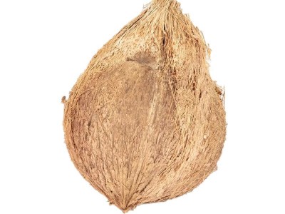全年供应海南文昌毛椰子老椰宝椰皇新鲜水果椰肉榨汁孕妇图3