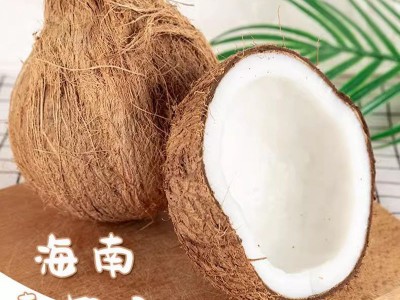 全年供应海南文昌毛椰子老椰宝椰皇新鲜水果椰肉榨汁孕妇图2