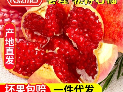 良慕川香 四川会理产地直供突尼斯软籽石榴新鲜采摘软籽石榴水果图2