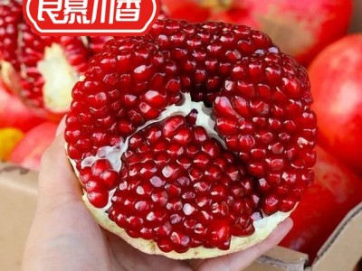 良慕川香 现摘现发四川会理突尼斯软籽石榴新鲜采摘软籽石榴水果图3
