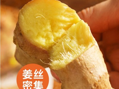 云南小黄姜新鲜批发生姜老姜新姜生鲜块姜1/2/3/5/8/9/1 0一件代发图3