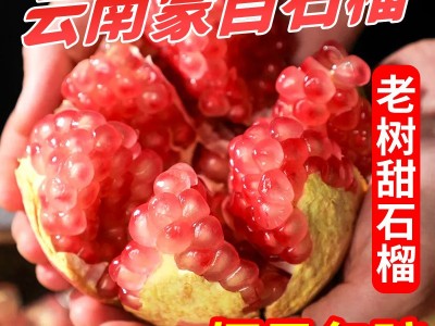 云南蒙自石榴水晶绿皮石榴新鲜当季礼盒3/5/9斤一件代发非突尼斯图3