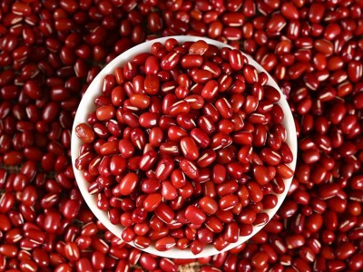 东北红豆批发货源2022年红小豆珍珠红中粒大粒杂粮超市品质25kg图2