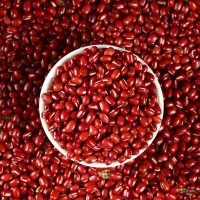 东北红豆批发货源代加工工厂定制红小豆杂粮超市品质25kg中粒大粒