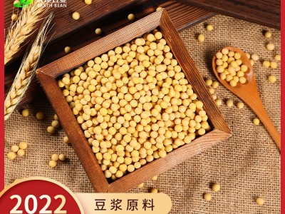 东北敦化产地黄豆批发源头加工定制工厂杂粮商超品质黄豆大粒小粒图4