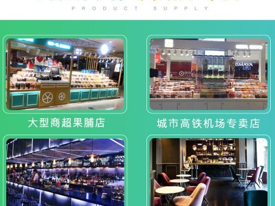 壹食无忧水果干蜜饯果脯凉果厂家直销品牌零食专柜专供芒果干批发图2