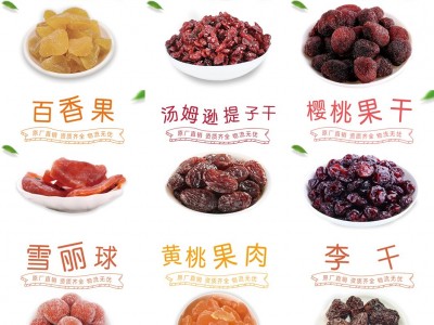 壹食无忧水果干蜜饯果脯凉果厂家直销品牌零食专柜专供芒果干批发图3