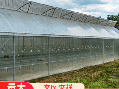 蘑菇大棚专业厂家供应 大棚用品防虫网遮阳网薄膜图2
