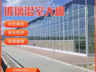 玻璃温室大棚 花卉温室 育苗玻璃温室 智能玻璃连栋温室大棚图2
