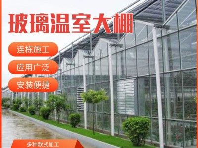 玻璃温室大棚 花卉温室 育苗玻璃温室 智能玻璃连栋温室大棚图4