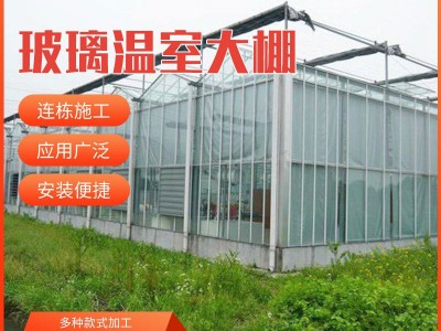 玻璃温室大棚 花卉温室 育苗玻璃温室 智能玻璃连栋温室大棚图3