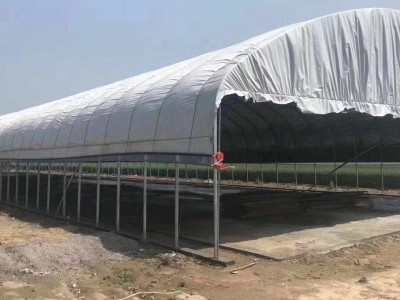 智能连栋玻璃大棚设计生态花卉养殖阳光保温玻璃大棚图4