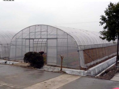 供应 标准GP622 6X20米 单栋塑料钢架大棚图3