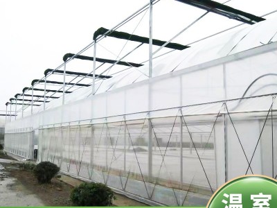 温室大棚骨架 全套生态园餐厅连栋薄膜大棚 热镀锌钢管玻璃温室图4