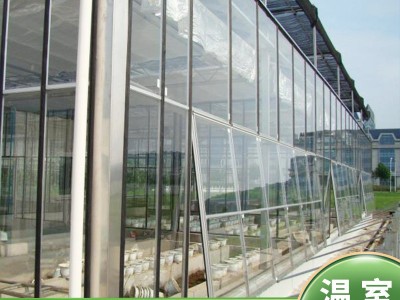温室大棚骨架 全套生态园餐厅连栋薄膜大棚 热镀锌钢管玻璃温室图3