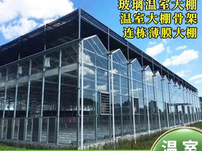 温室大棚骨架 全套生态园餐厅连栋薄膜大棚 热镀锌钢管玻璃温室图2