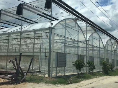 智能连栋薄膜温室 连栋玻璃大棚 连栋温室 连栋大棚厂家图3