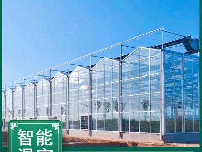 智能玻璃温室连栋连体蔬菜大棚 热镀锌钢管骨架农业配件阳光板图2