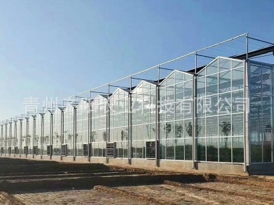 智能玻璃温室连栋连体蔬菜大棚 热镀锌钢管骨架农业配件阳光板图3