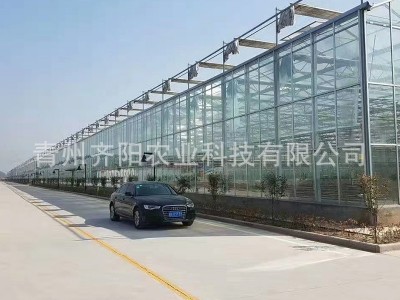 智能玻璃温室连栋连体蔬菜大棚 热镀锌钢管骨架农业配件阳光板图4