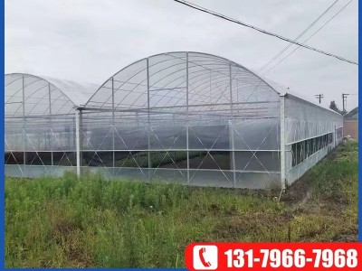 连栋薄膜温室大棚 热浸锌连体外遮阳温室大棚 内遮阳蔬菜花卉大棚图5