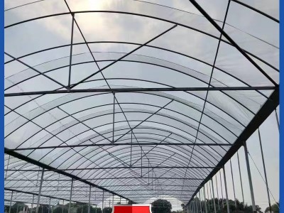 连栋薄膜温室大棚 热浸锌连体外遮阳温室大棚 内遮阳蔬菜花卉大棚图4