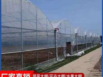 连栋薄膜温室大棚 热浸锌连体外遮阳温室大棚 内遮阳蔬菜花卉大棚图2