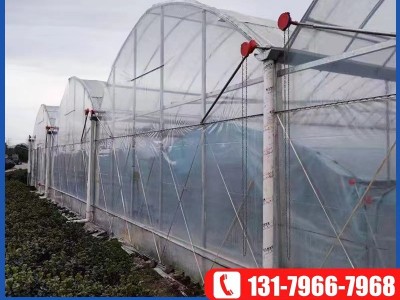 连栋薄膜温室大棚 热浸锌连体外遮阳温室大棚 内遮阳蔬菜花卉大棚图3