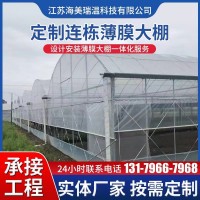 连栋薄膜温室大棚 热浸锌连体外遮阳温室大棚 内遮阳蔬菜花卉大棚