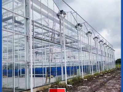 农业纹洛型玻璃温室大棚 阳光生态餐厅花卉养殖蔬菜种植温室大棚图4