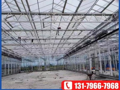 农业纹洛型玻璃温室大棚 阳光生态餐厅花卉养殖蔬菜种植温室大棚图3