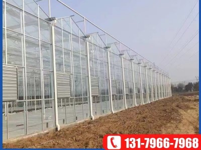 农业纹洛型玻璃温室大棚 阳光生态餐厅花卉养殖蔬菜种植温室大棚图5
