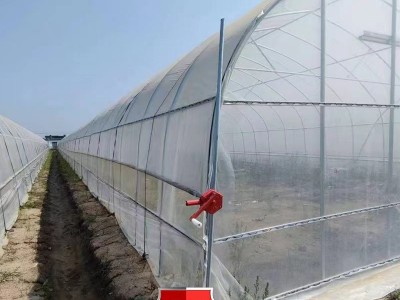 蔬菜温室大棚连栋花卉种植棚 大棚骨架养殖大棚管单体温室蔬菜棚图2