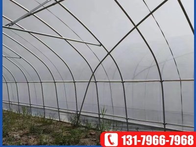 蔬菜温室大棚连栋花卉种植棚 大棚骨架养殖大棚管单体温室蔬菜棚图3