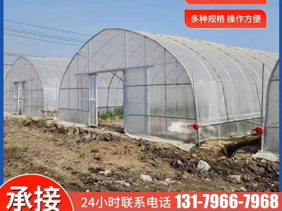 蔬菜温室大棚连栋花卉种植棚 大棚骨架养殖大棚管单体温室蔬菜棚图4