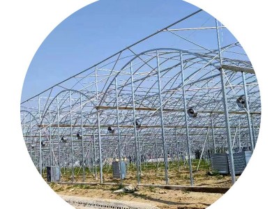 外遮阳连栋大棚温室大棚骨架瓜果蔬菜种植棚连栋薄膜温室大棚图5